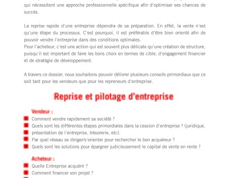 Dossier- reprrise et pilotage d'entreprise - Entreprendre _Page_2